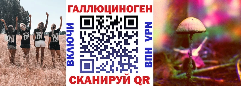 Псилоцибиновые грибы MAGIC MUSHROOMS  наркота  Кемь 